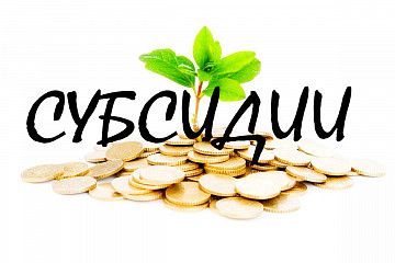 В Башкортостане начался конкурс по отбору организаций легпрома для получения субсидии на закуп сырья и материалов